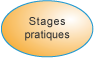 Stages pratiques